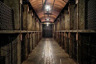 Weinkeller, Weinregale Bertani