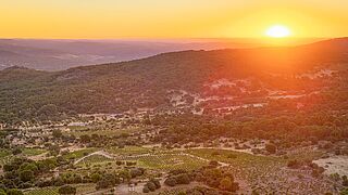 Die Landschaft um Bodegas Maranones