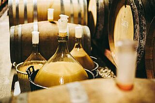 Weinlagerung im Weinkeller Nittnaus Weinlagerung im Weinkeller Nittnaus