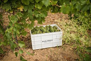 Kiste mit Lesegut während der Ernte