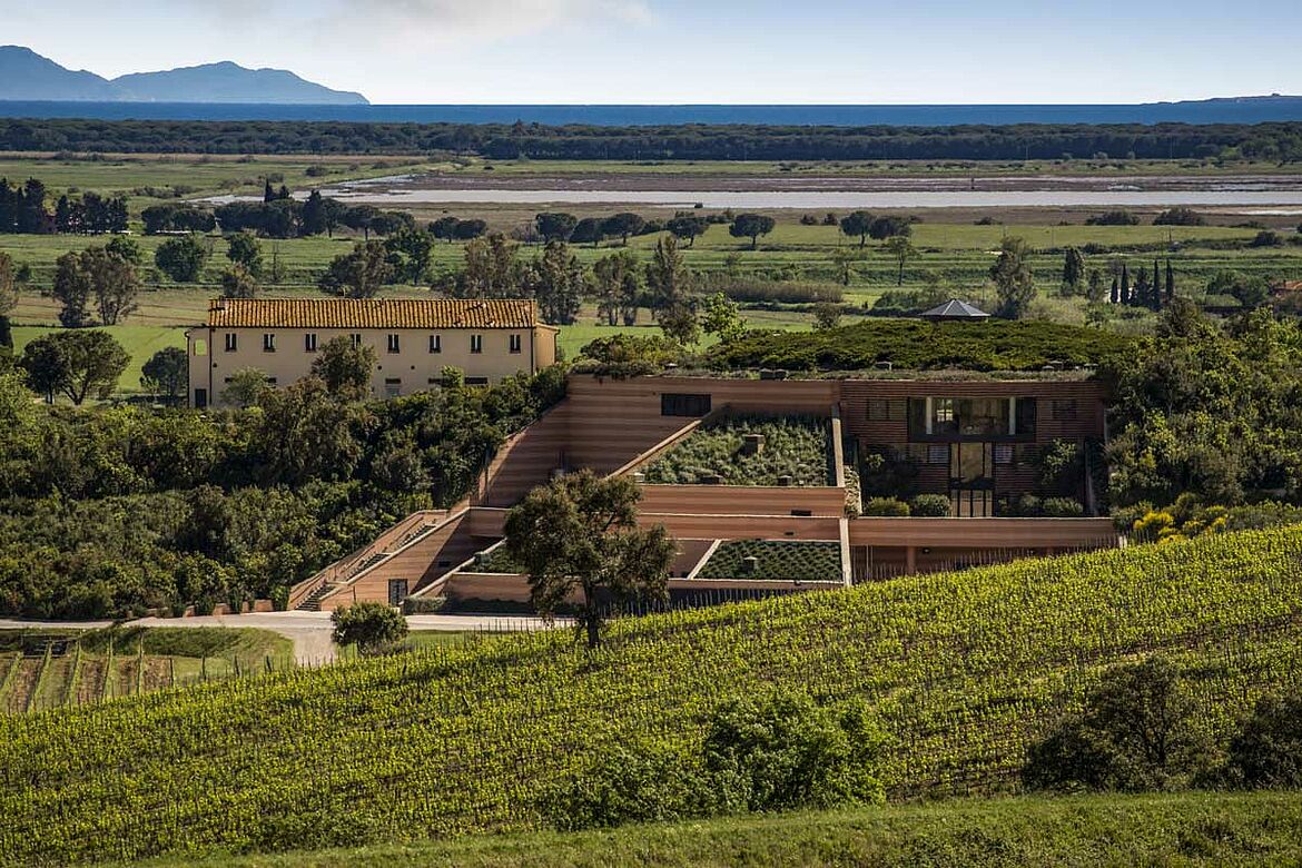 Panorama Weingut und Weinberge Antinori Le Mortelle