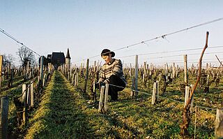 Pichon Longueville Wein