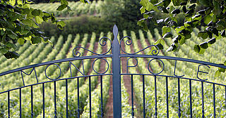 Tor zu einem Weinfeld bei Monopole