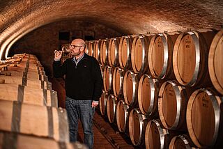 Weinkeller von Prunotto