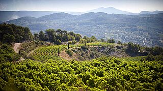 Smukt landskab i Provence