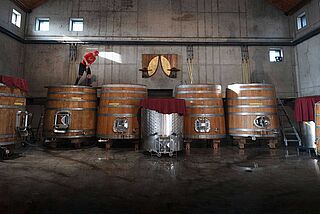 Im Weinkeller Weinberg vom Weingut Rudolf Fürst