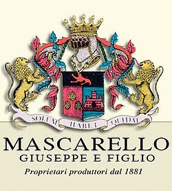 Barbera d'Alba Vigna Santo Stefano di Perno 2008