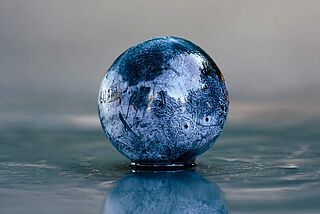 Cabernet Sauvignon-druen