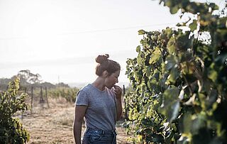 Vinmark Chateau de Plaisance