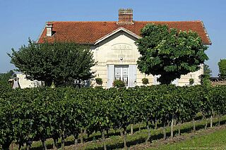 Vingården Les Gravieres