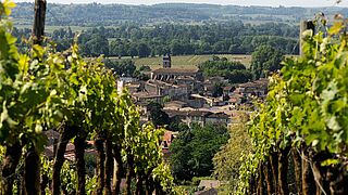 Weinberg von Montlandrie Weinberg von Montlandrie