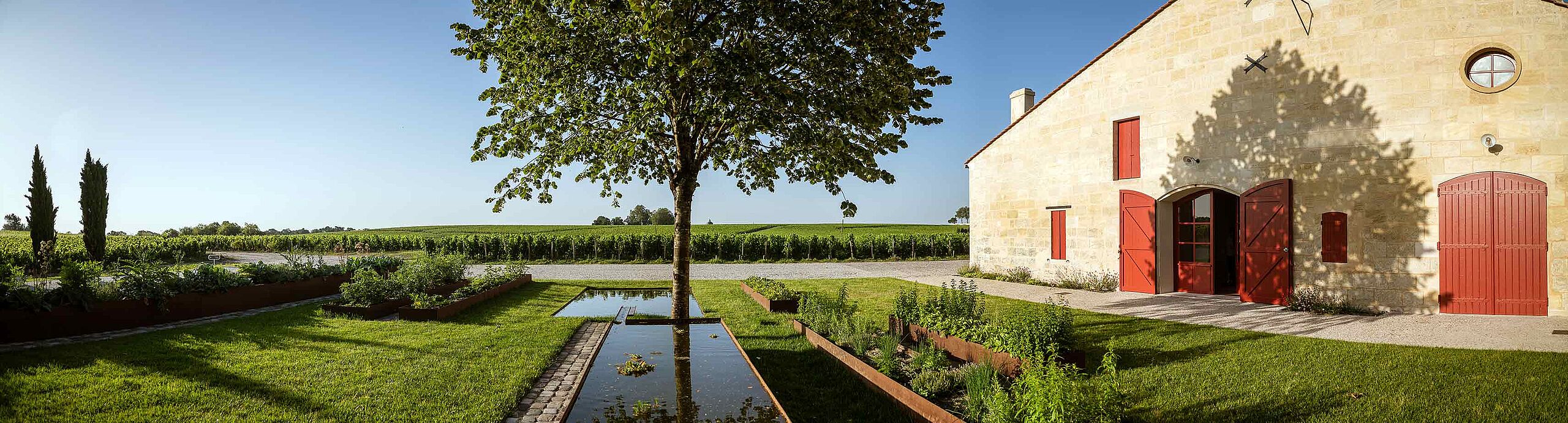 Weingut, Weinfeld, haus, Pool