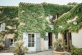 Domaine de Fondreche Weingut