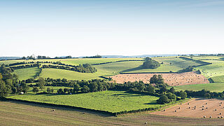 Normandiets landskab