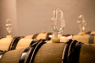 Weinfaesser im Weinkeller Ossian Weinkeller Ossian