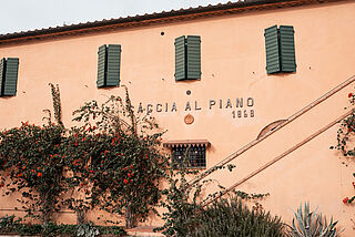 Weingut Caccia al Piano