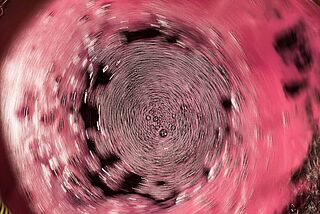 Weinverarbeitung, Maische