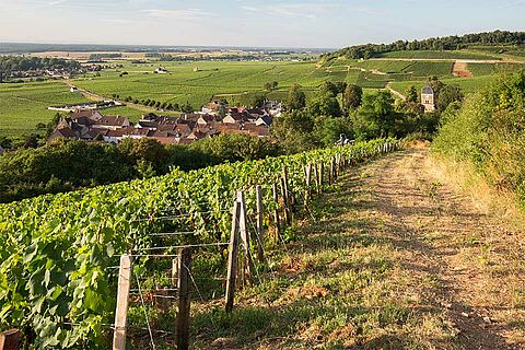 Weindorf Chambolle-Musigny