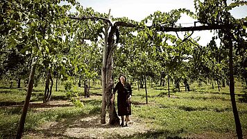 De bedste druesorter i Italien