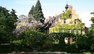 Weingut Maximin Grünhaus