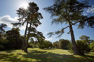 Landschaft des Weinguts Chateau Bellevue