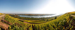 Gunderloch Pettenthal Gunderloch Pettenthal