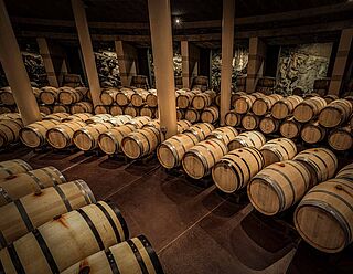 Weinkeller mit Fässern von Antinori Le Mortelle