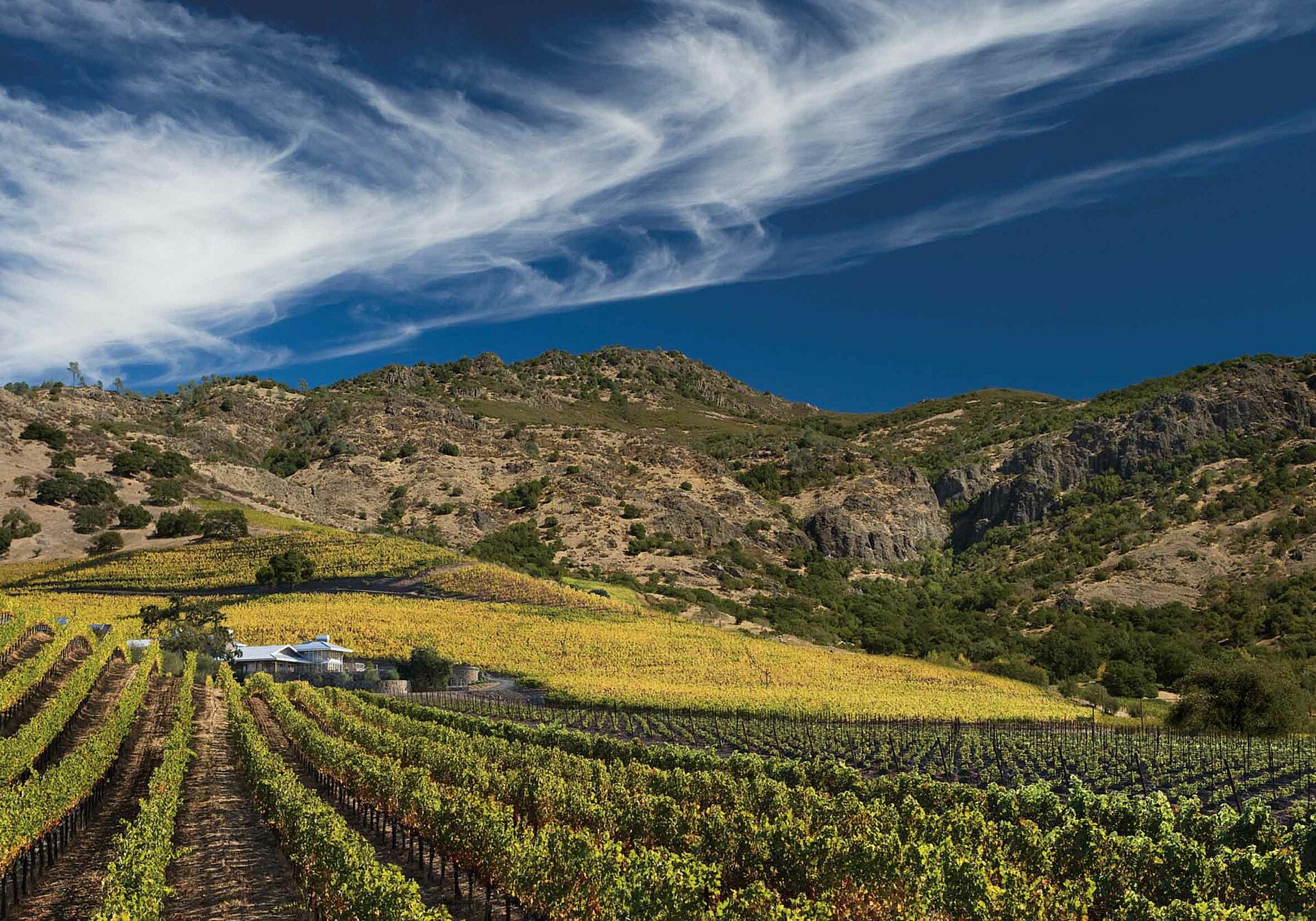 Weinregion Kalifornien, Weingut bei blauem Himmel