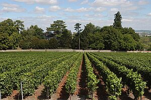 Chateau Beau Sejour Becot