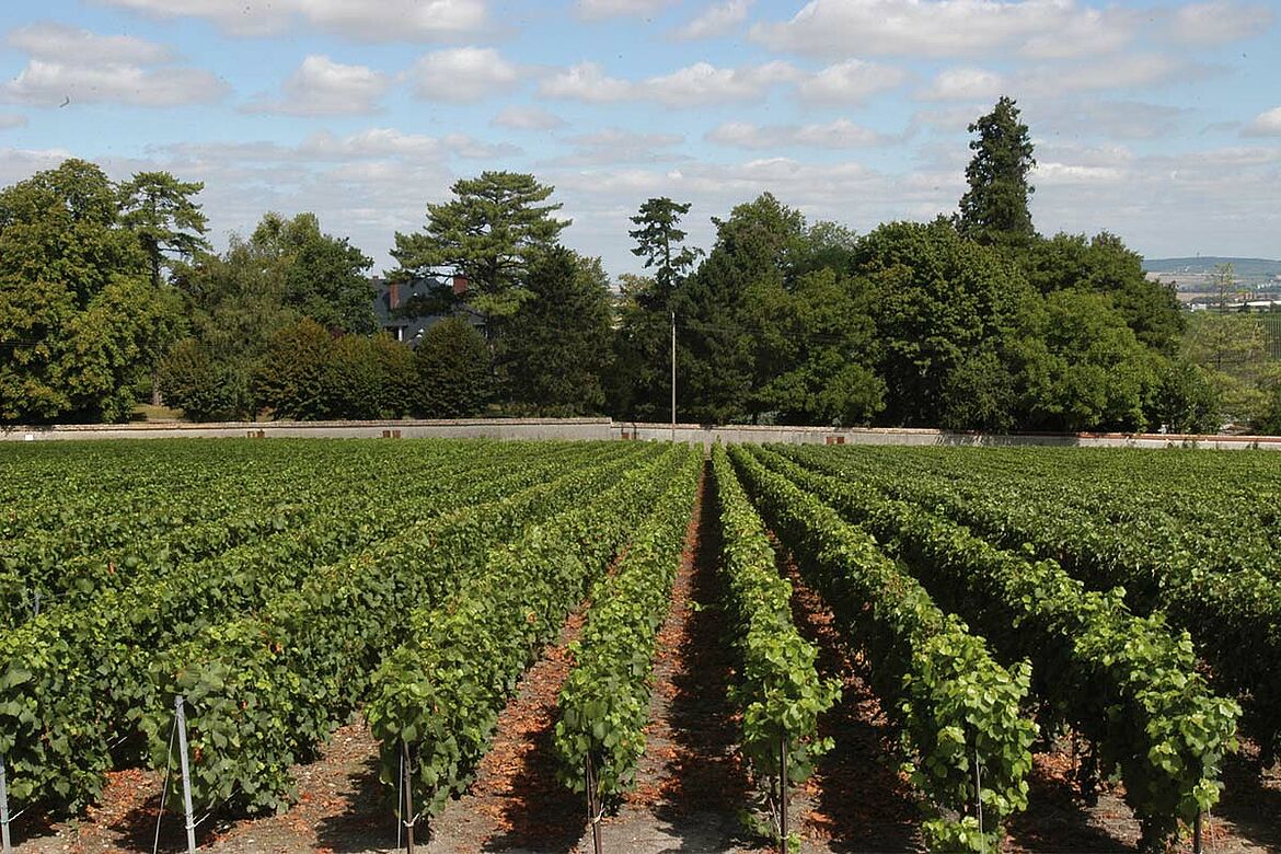 Chateau Beau Sejour Becot