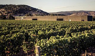 Das Weingut inmitten der Weinfelder