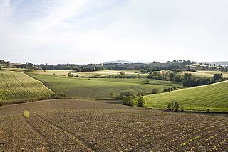 Marken Weinfeld Marken Weinfeld
