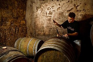 Vinmager hos Dominio del Challao Manuel Michelini i vinkælderen