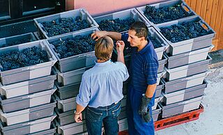 Peter Sisseck und Carlos de la Fuente