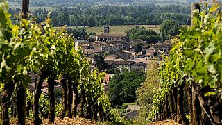 AC Bordeaxu Côtes de Castillon AC Bordeaxu Côtes de Castillon