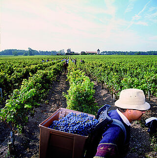 Lese auf Eglise Clinet