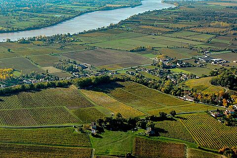 Fronsac Region im Bordeaux