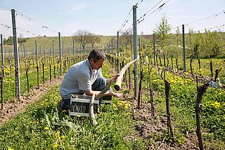 Gernot Heinrich Weinfeld Gernot Heinrich