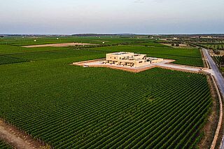 Weingut Gianfranco Fino bei blauem Himmel Weingut Gianfranco Fino bei blauem Himmel