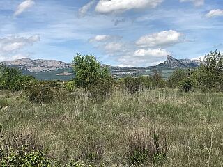 Panorama einer Steppenlandschaft