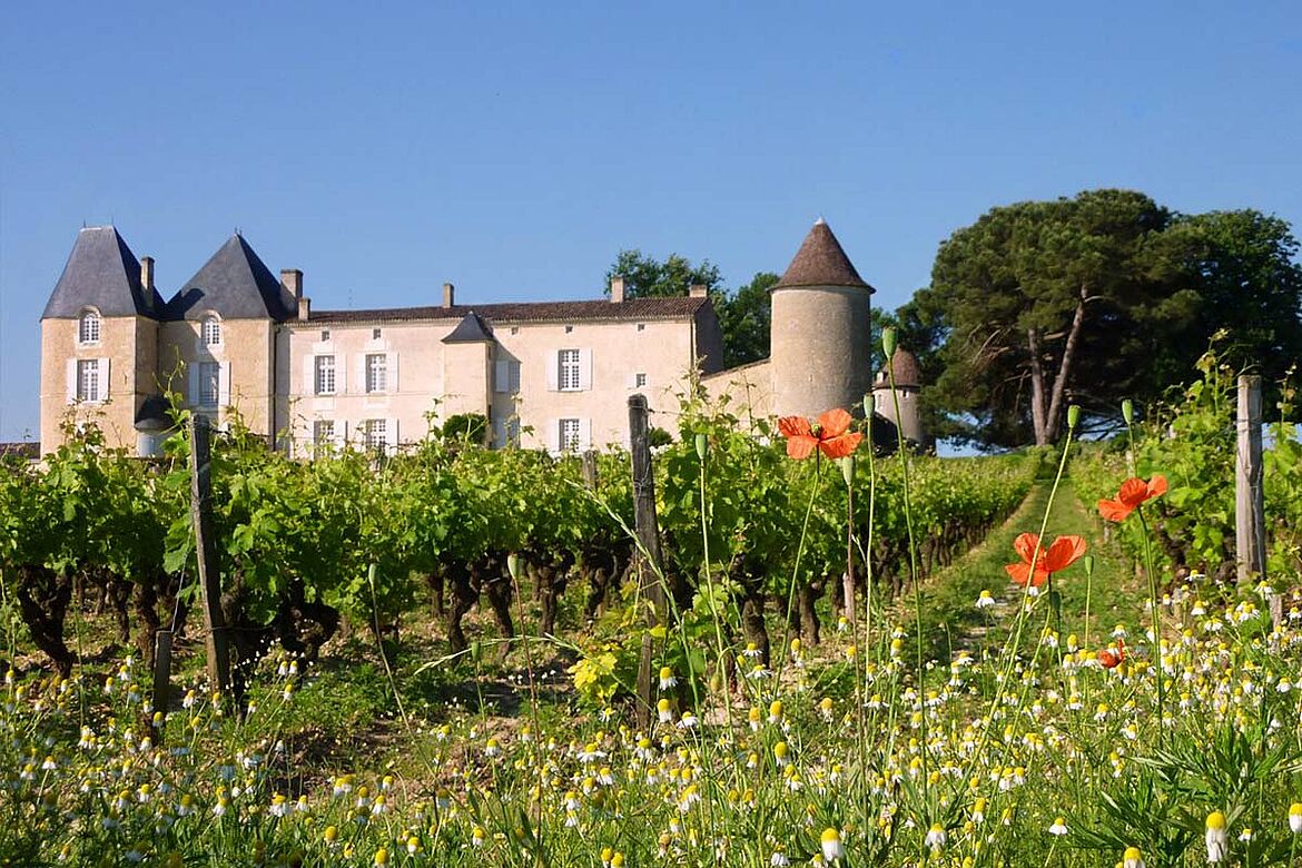 Yquem