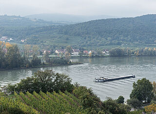 Weinberge Pichler Krutzler