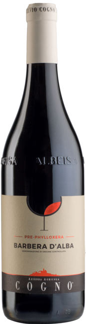 Barbera d'Alba Pre-Phylloxera