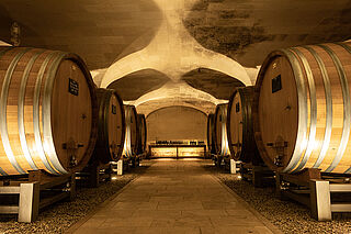 Rhone 2023