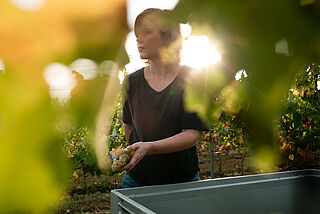 Katharina Wechsler bei der Lese