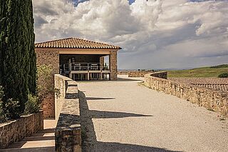 Siro Pacenti vingård