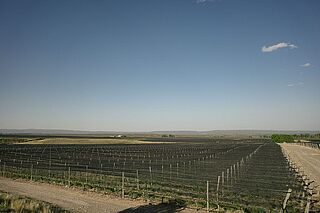 Die Weinberge von Vaglio