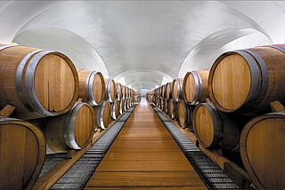 Weinkeller Feudi di San Gregorio