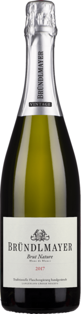 Weinpaket: Die besten Schaumweine der Welt (9 Flaschen)