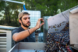 Ein Mitarbeiter vom Chateau Paradis